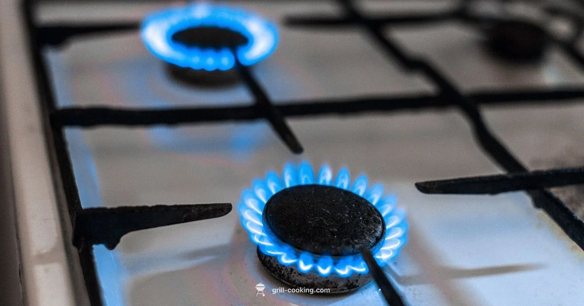 Natural Gas Conversions Natural Gas Conversions - Grill Cooking