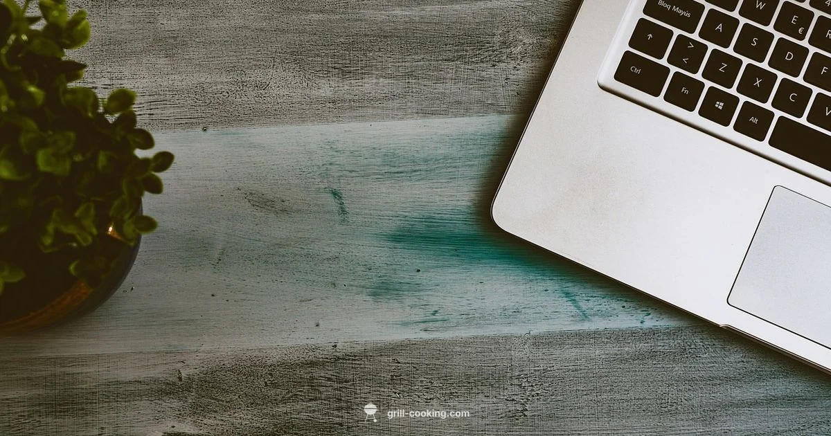 Portable Grills Guide - Grill Cooking