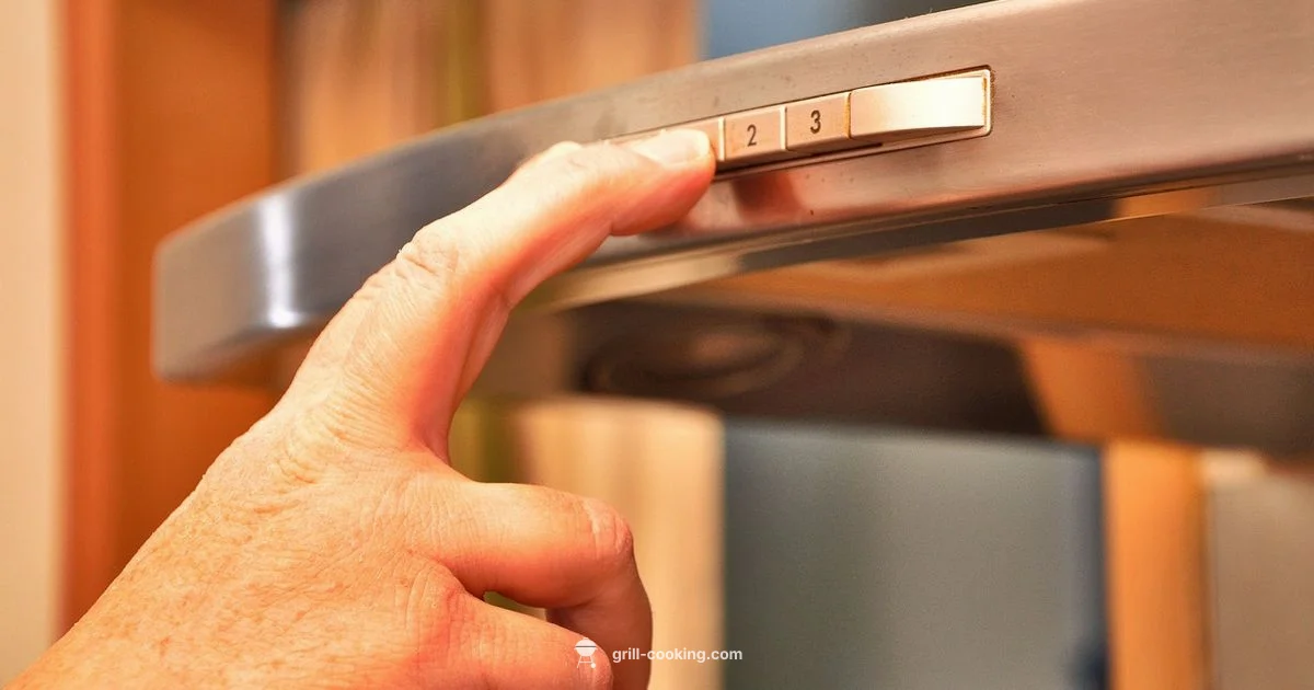 Grill + Oven Duo - Grill Cooking