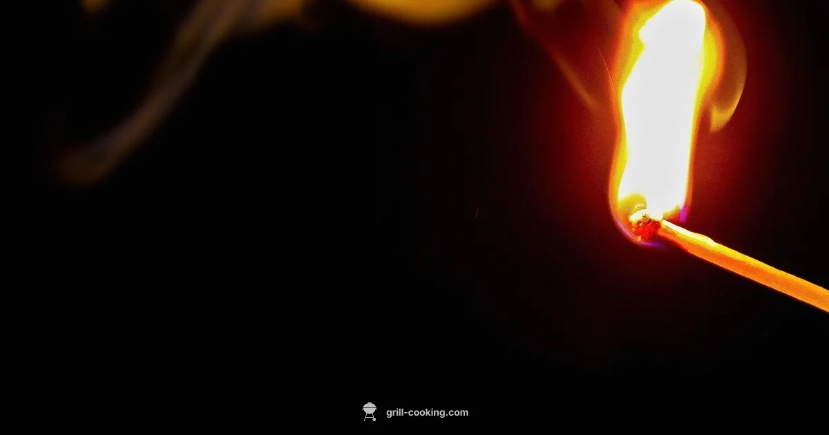 Igniter Repair Guide - Grill Cooking