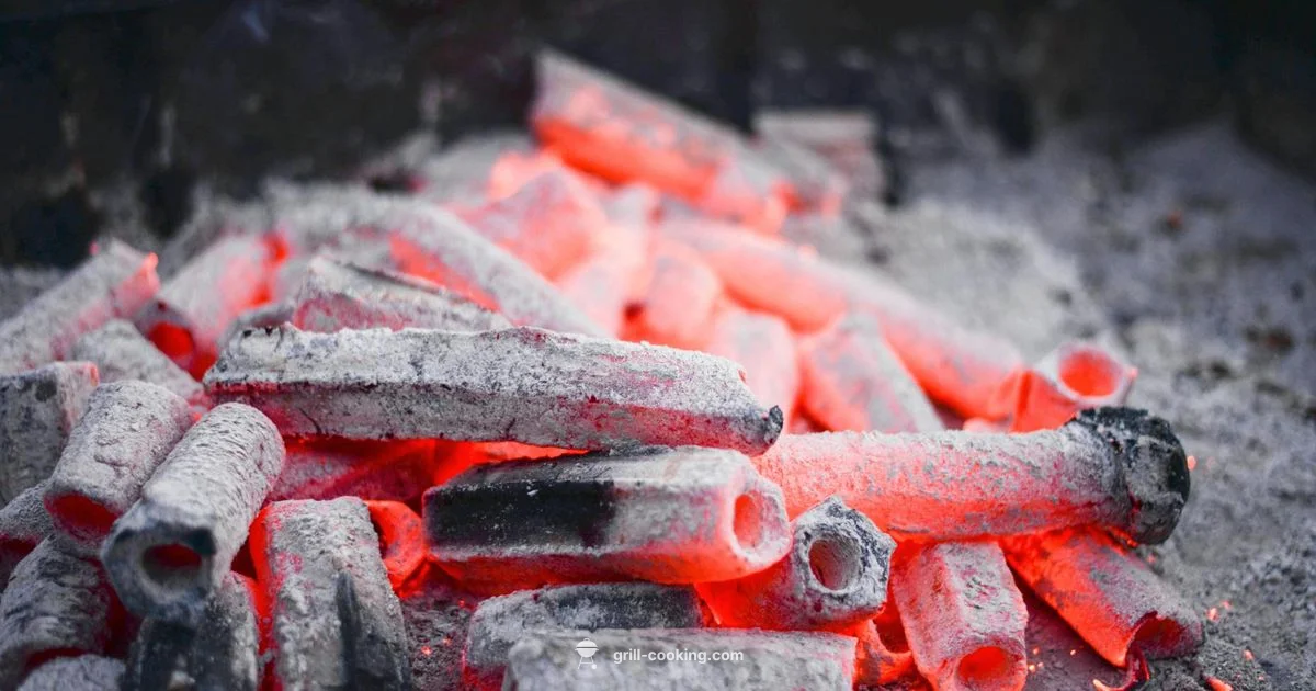 Pit Boss Grill Guide - Grill Cooking