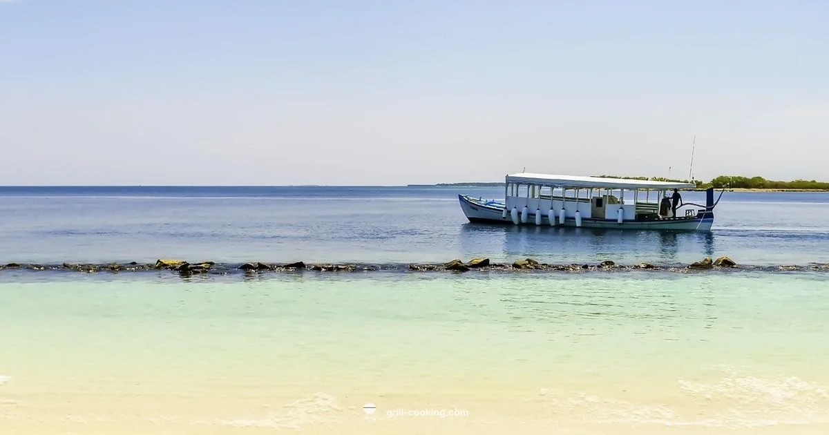 Coastal Grill Guide - Grill Cooking