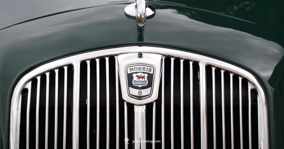 Tailgate Grill Guide - Grill Cooking