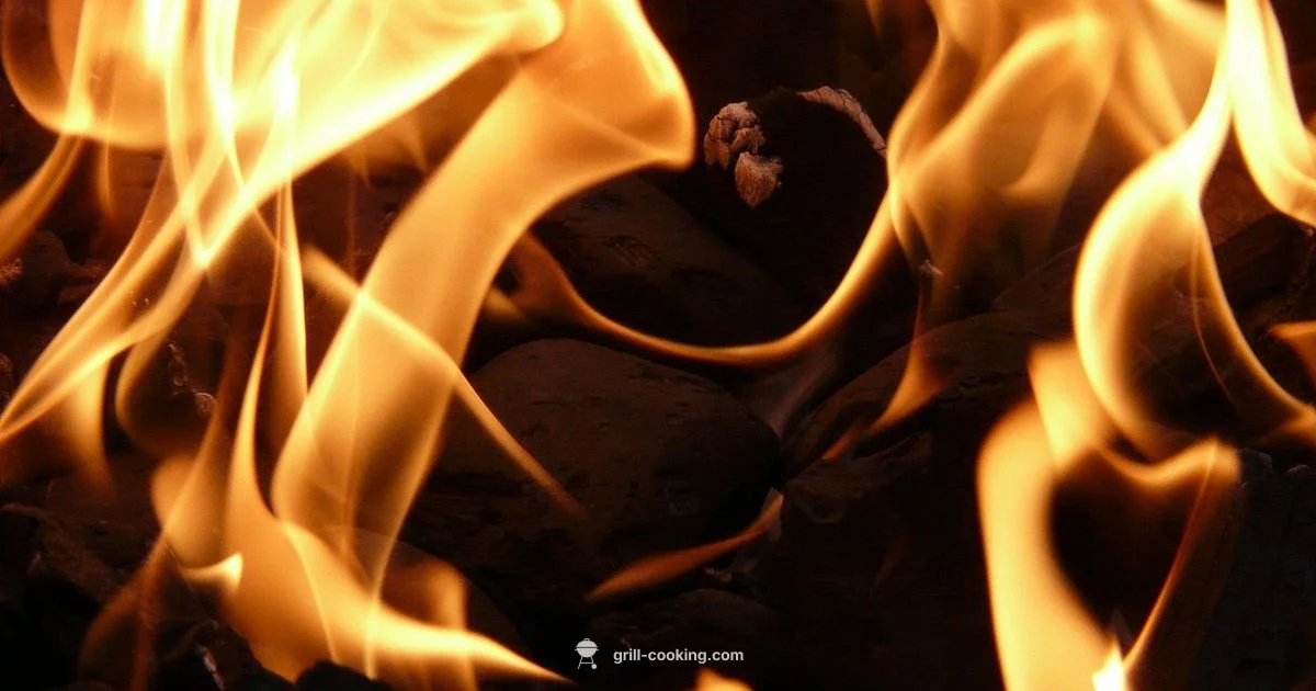 Quarter Grill Basics - Grill Cooking