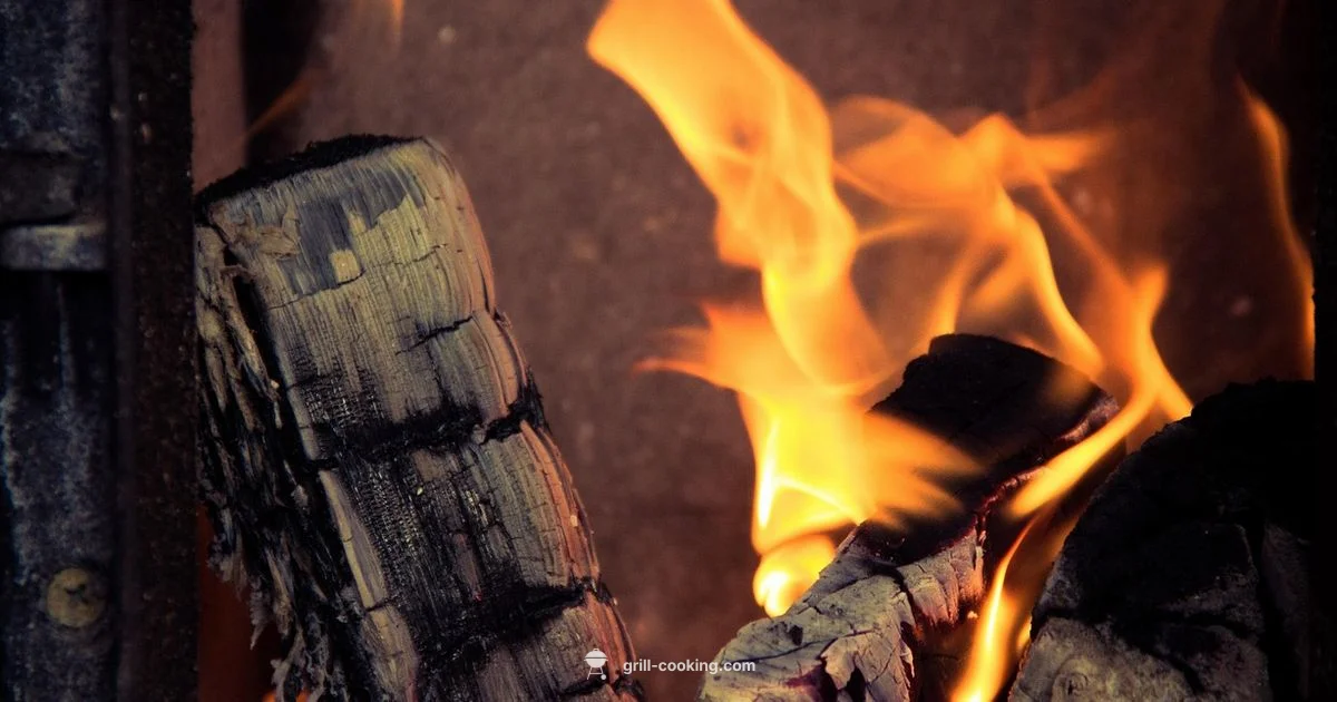 Fireside Grill Mastery - Grill Cooking