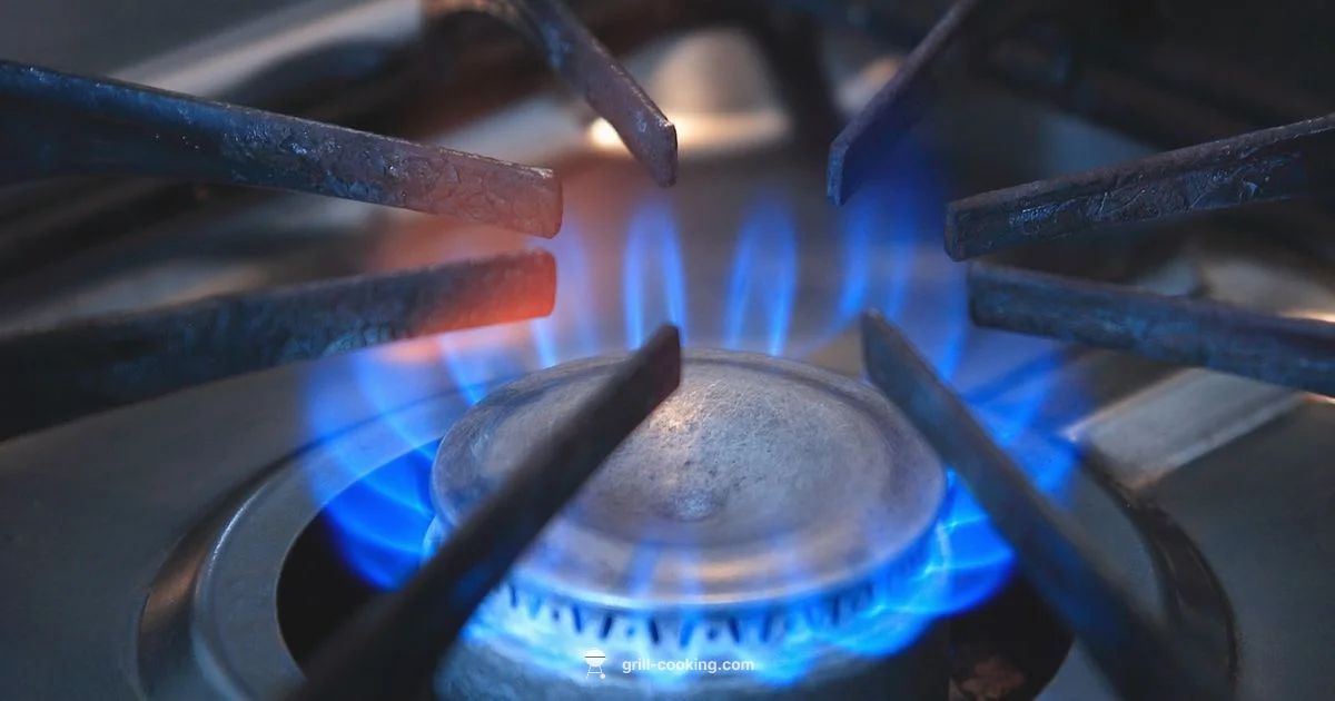 Grill Won't Light - Grill Cooking