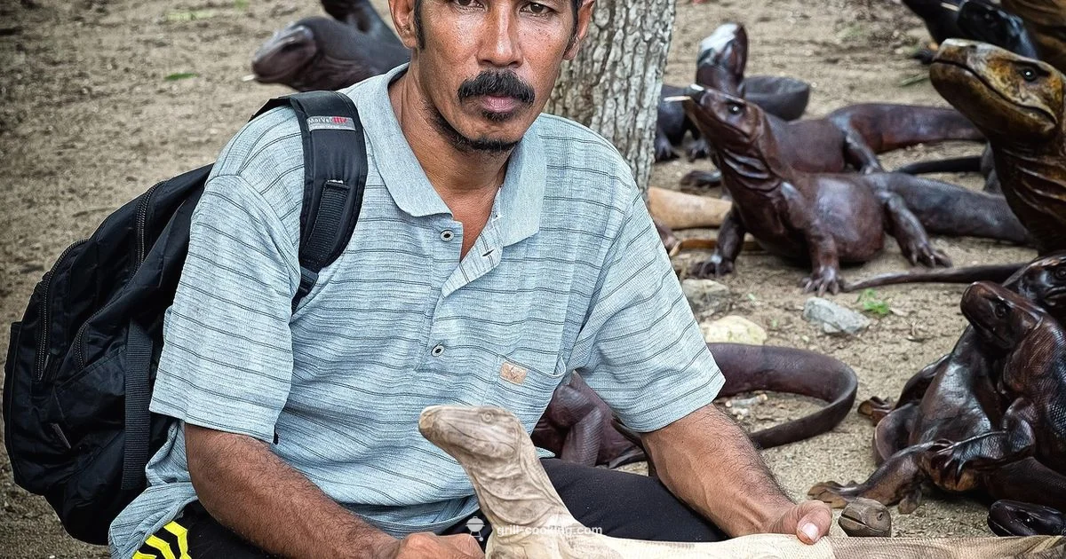 Komodo Joe Guide - Grill Cooking