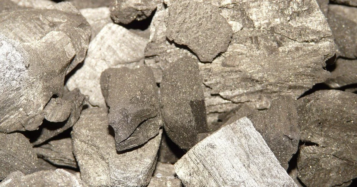 Grill vs Oven Grill vs Oven - Grill Cooking