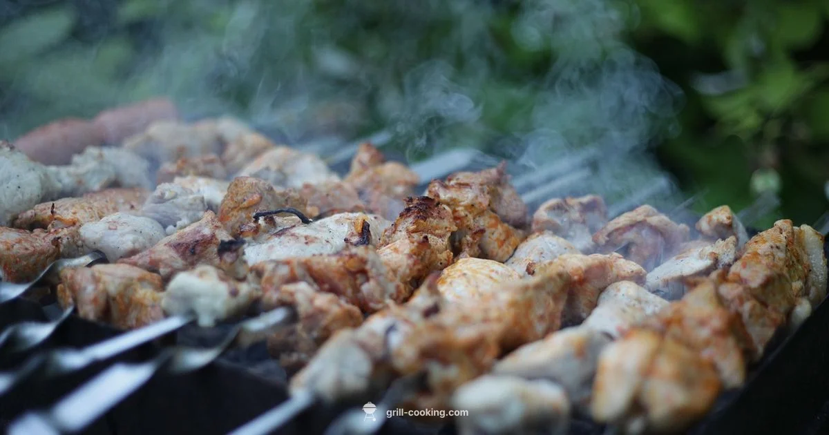 Sheesh Grill Guide - Grill Cooking
