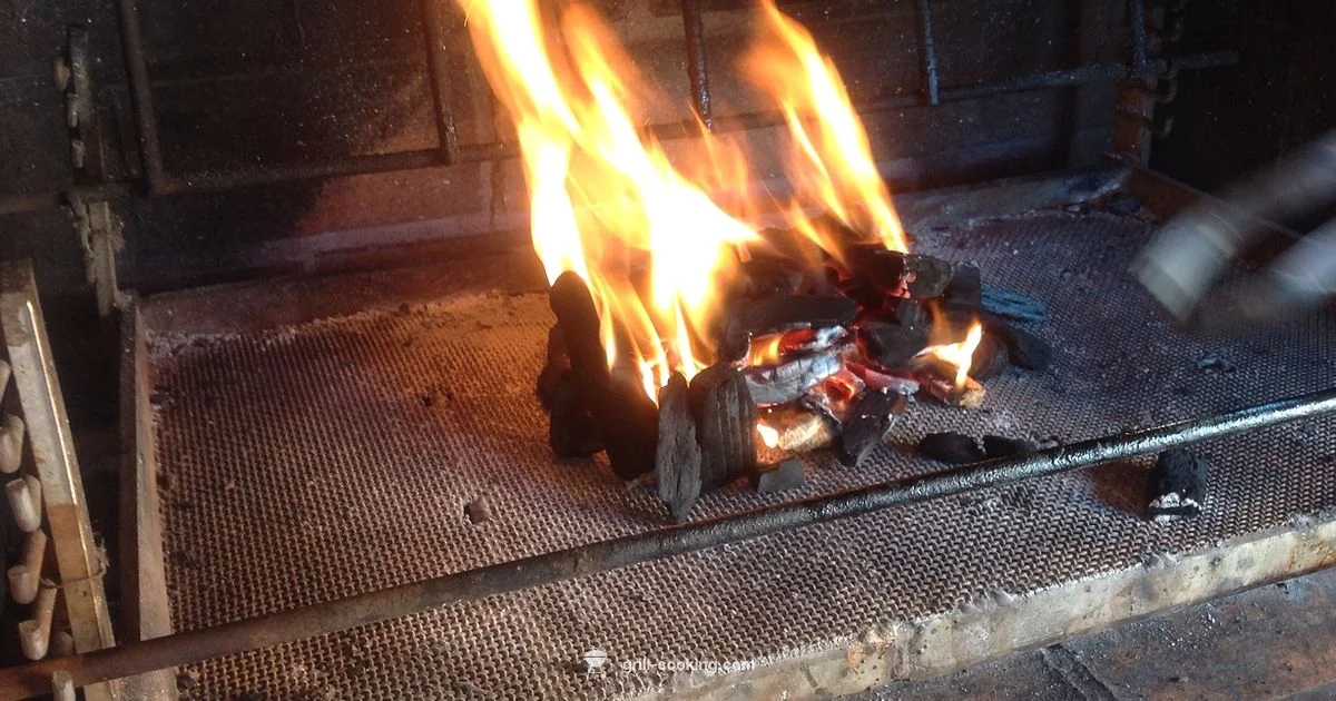 Can Grill Guide - Grill Cooking