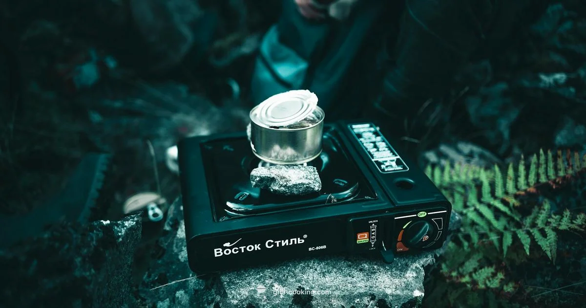 Coleman RoadTrip Grill - Grill Cooking