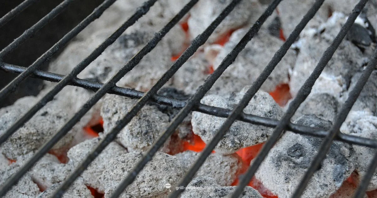 Grill Mastery - Grill Cooking