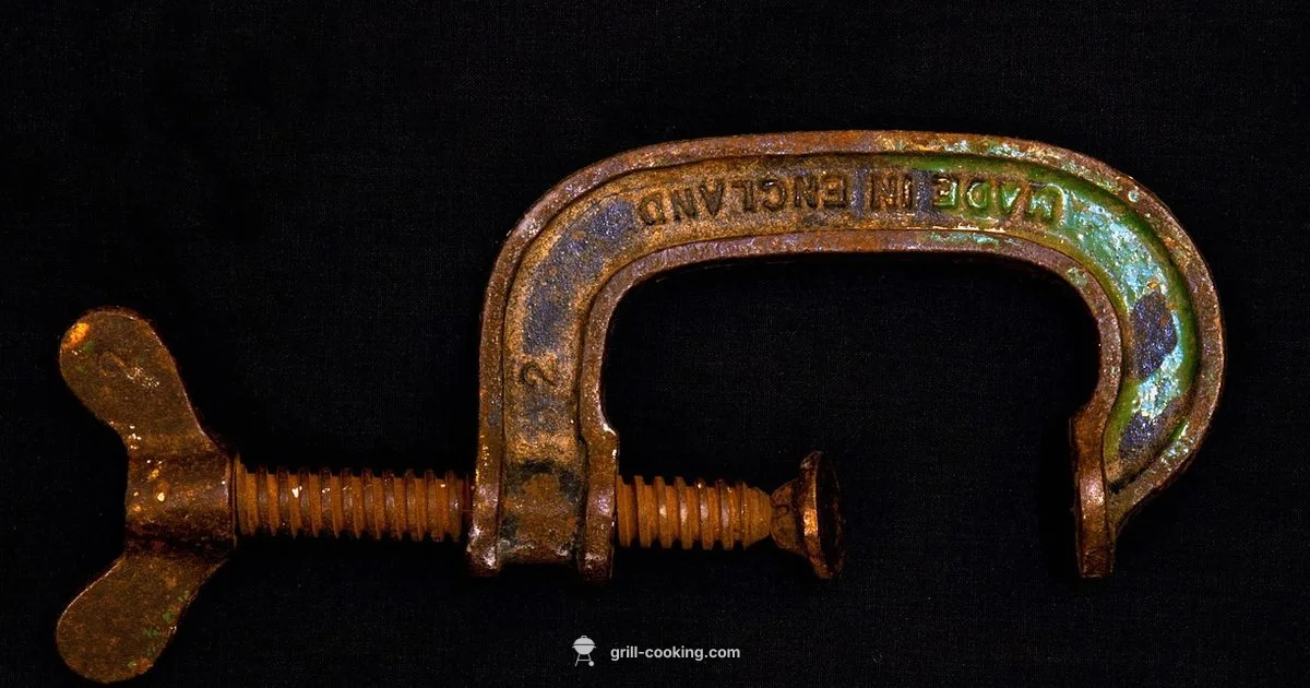 Rust-Resistant Grill Care - Grill Cooking