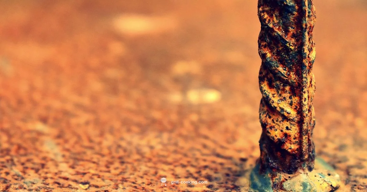 Grill Rust Guide - Grill Cooking