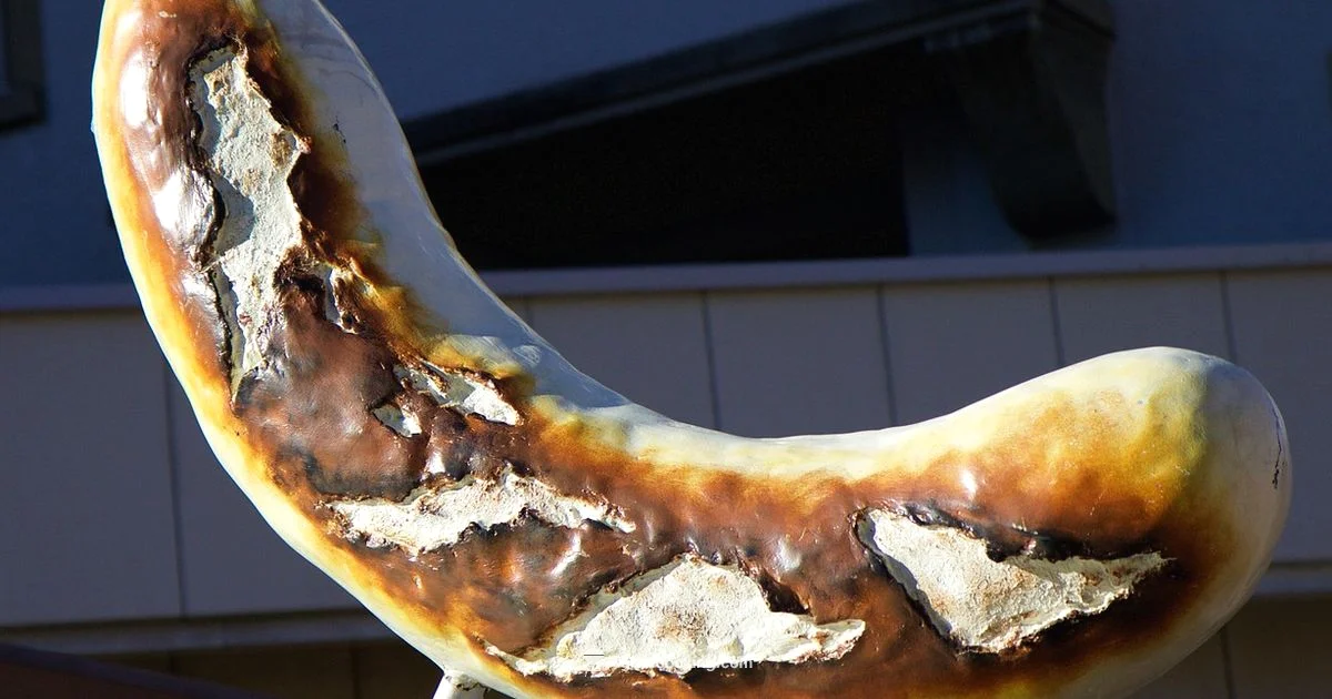 Brats on the Grill - Grill Cooking