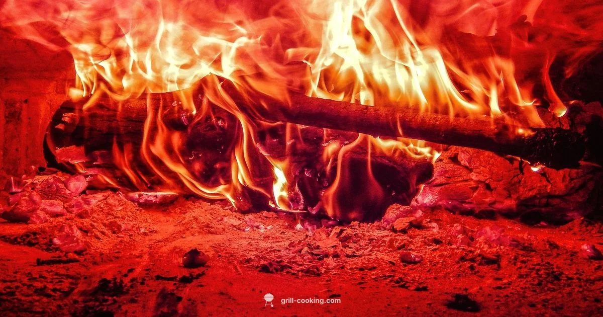 Ninja Woodfire Review - Grill Cooking
