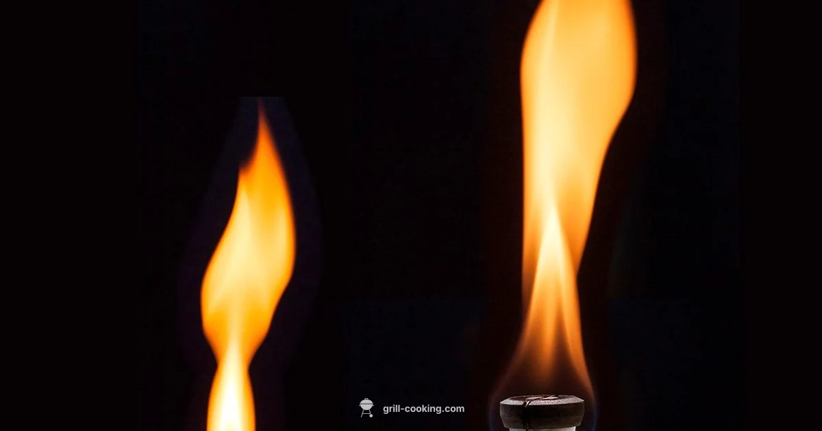 Grill Fire Safety - Grill Cooking