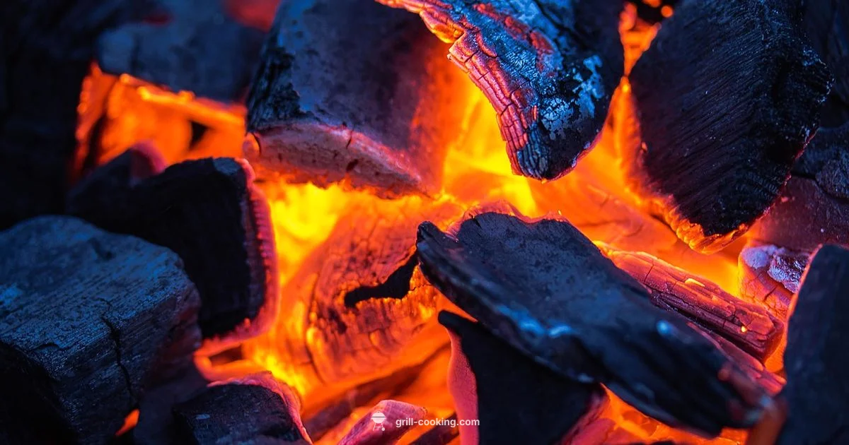 Master Charcoal Grilling - Grill Cooking