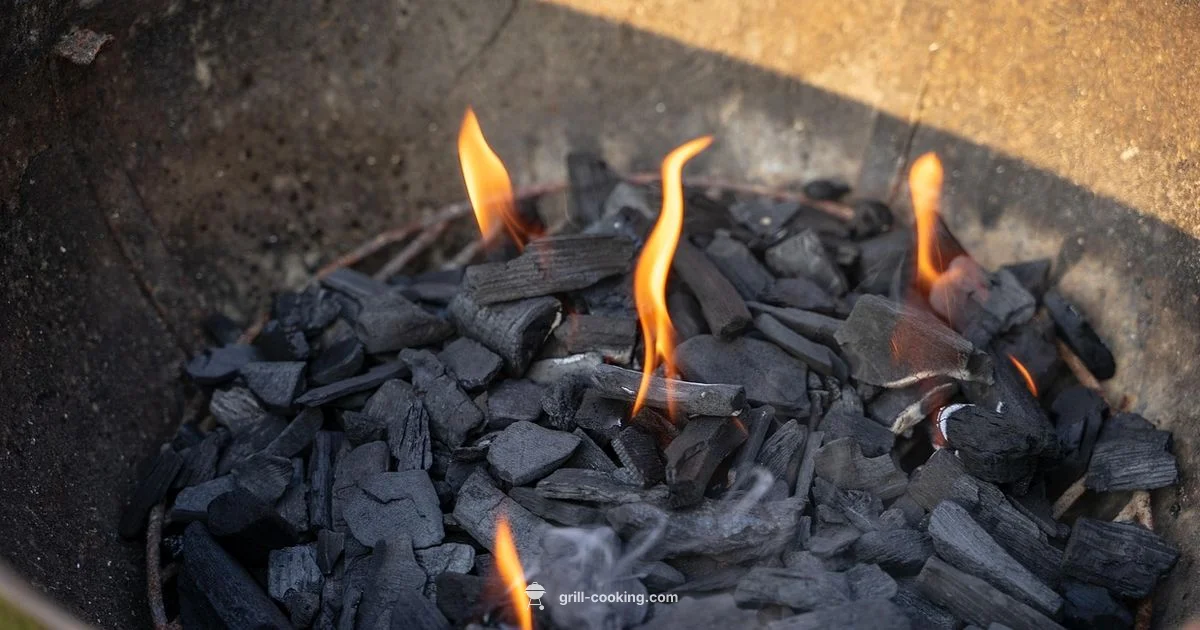 Rust-Free Grates - Grill Cooking