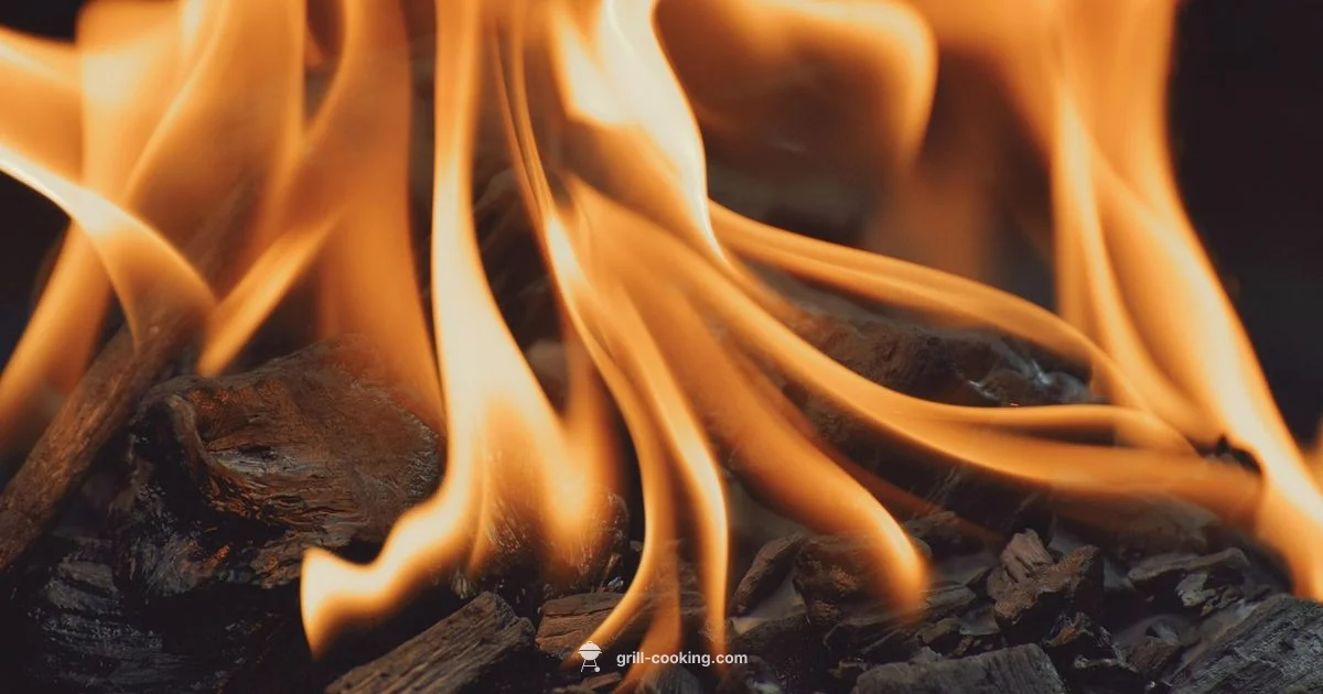 Burner Cleaning - Grill Cooking