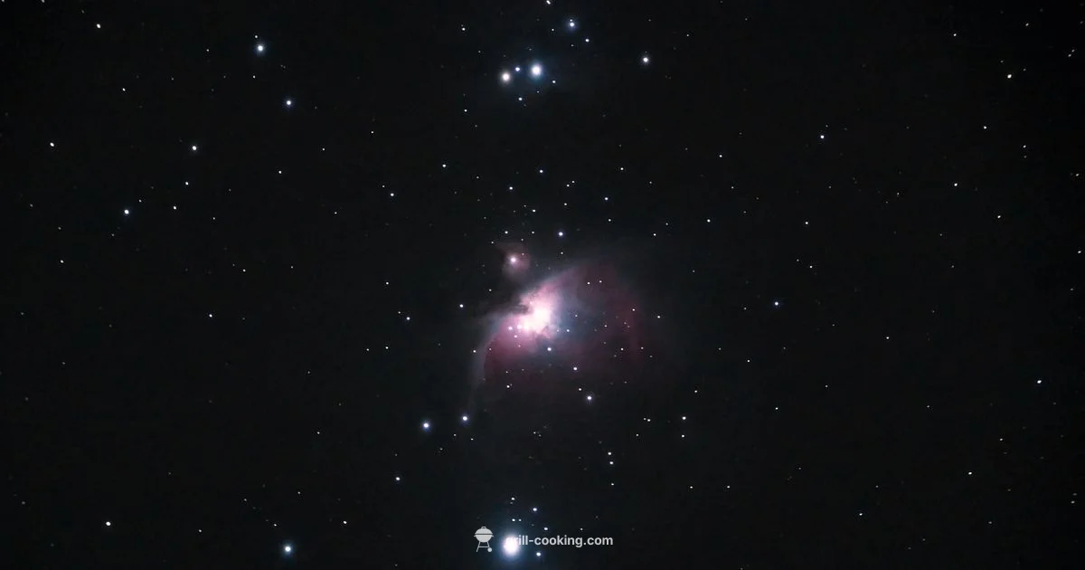 Orion Diner Guide - Grill Cooking