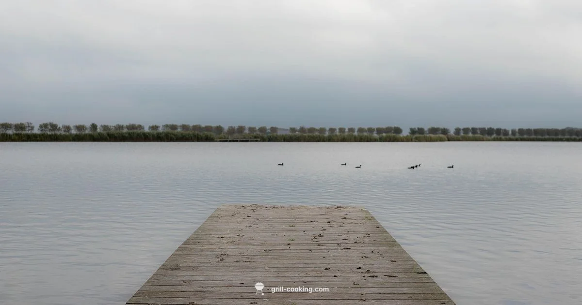 Lakehouse Grill Review - Grill Cooking