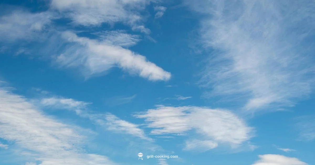 Windy Grilling - Grill Cooking