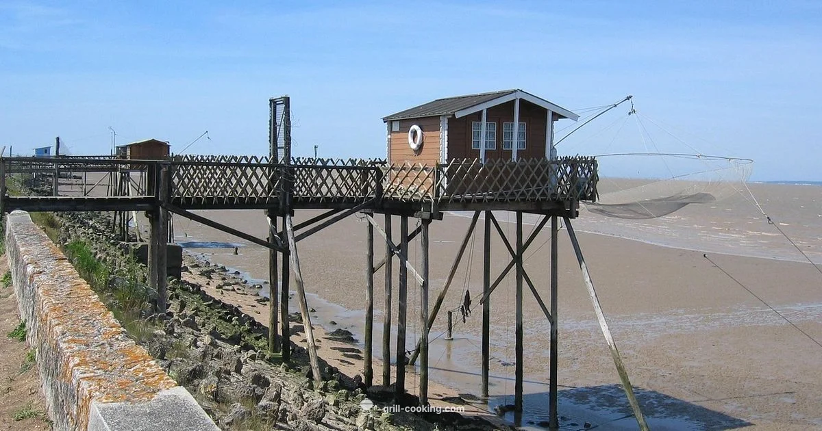 Atlantic Grill Guide - Grill Cooking