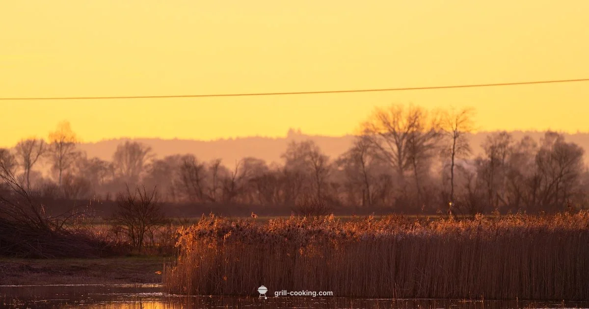 Coastal Grilling - Grill Cooking