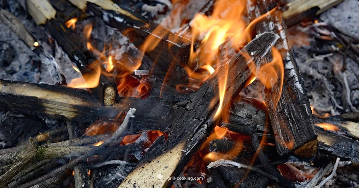 Grilling Essentials for Beginners - Grill Cooking