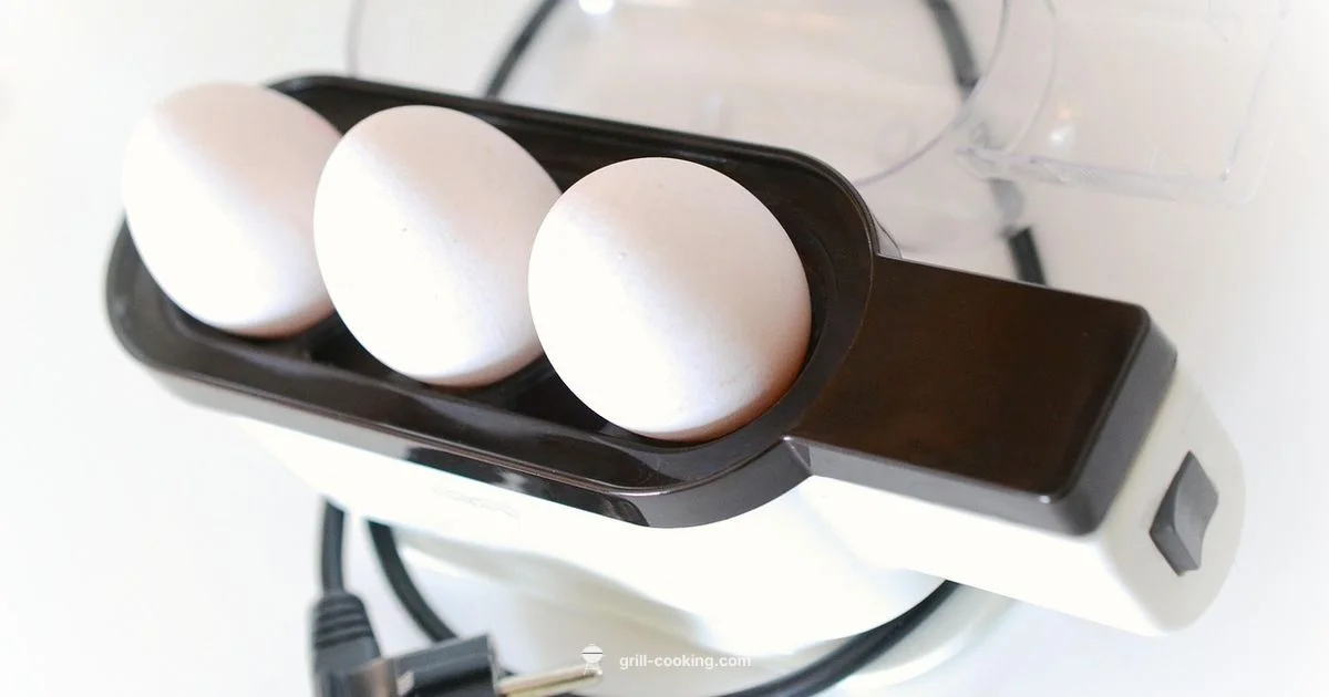 Green Egg Smoker Guide - Grill Cooking