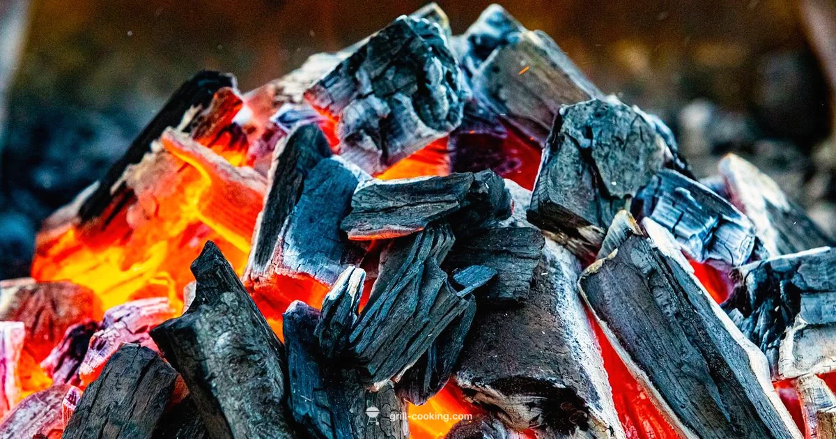 Charcoal-Grilled Oysters - Grill Cooking