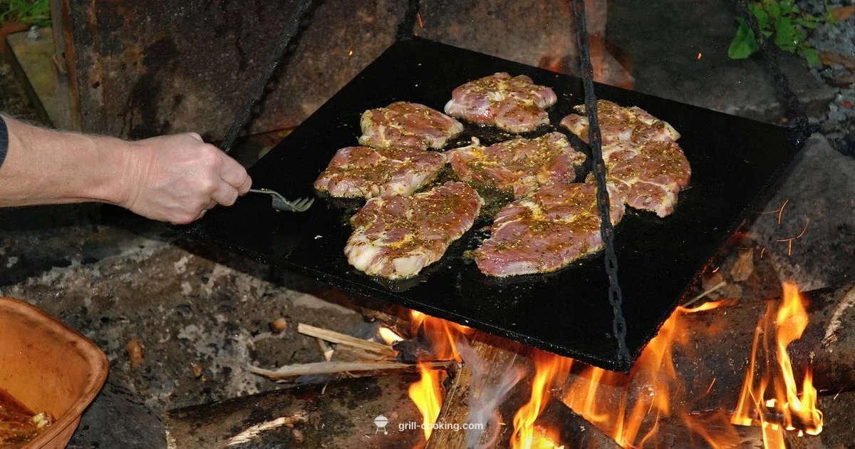 Weber Spirit 425 Cover Size - Grill Cooking