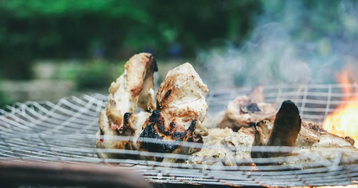 Deccan Grill Guide - Grill Cooking