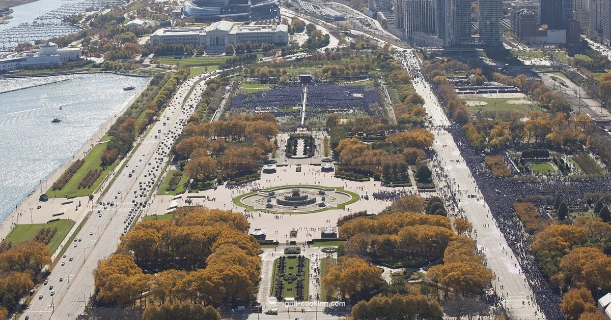 Grill in Chicago - Grill Cooking