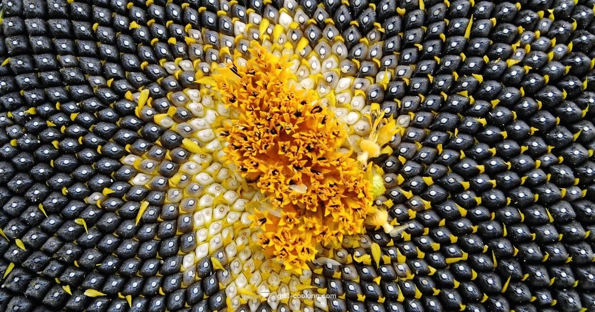 Grilled Sunflower Snack - Grill Cooking