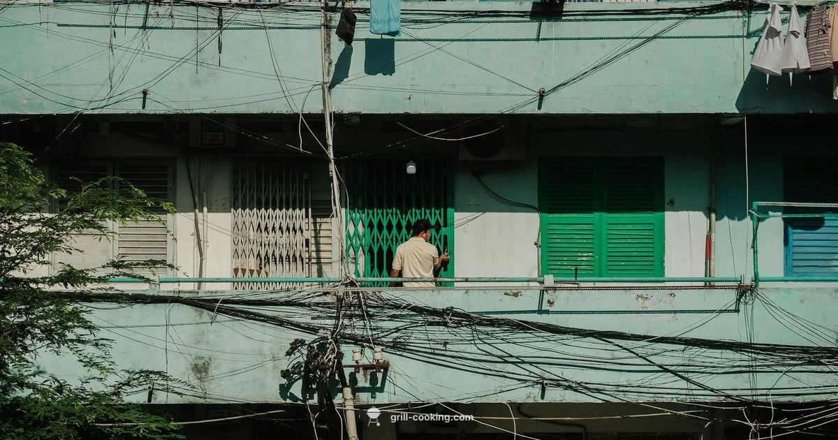 Weber Electric Grill Review - Grill Cooking