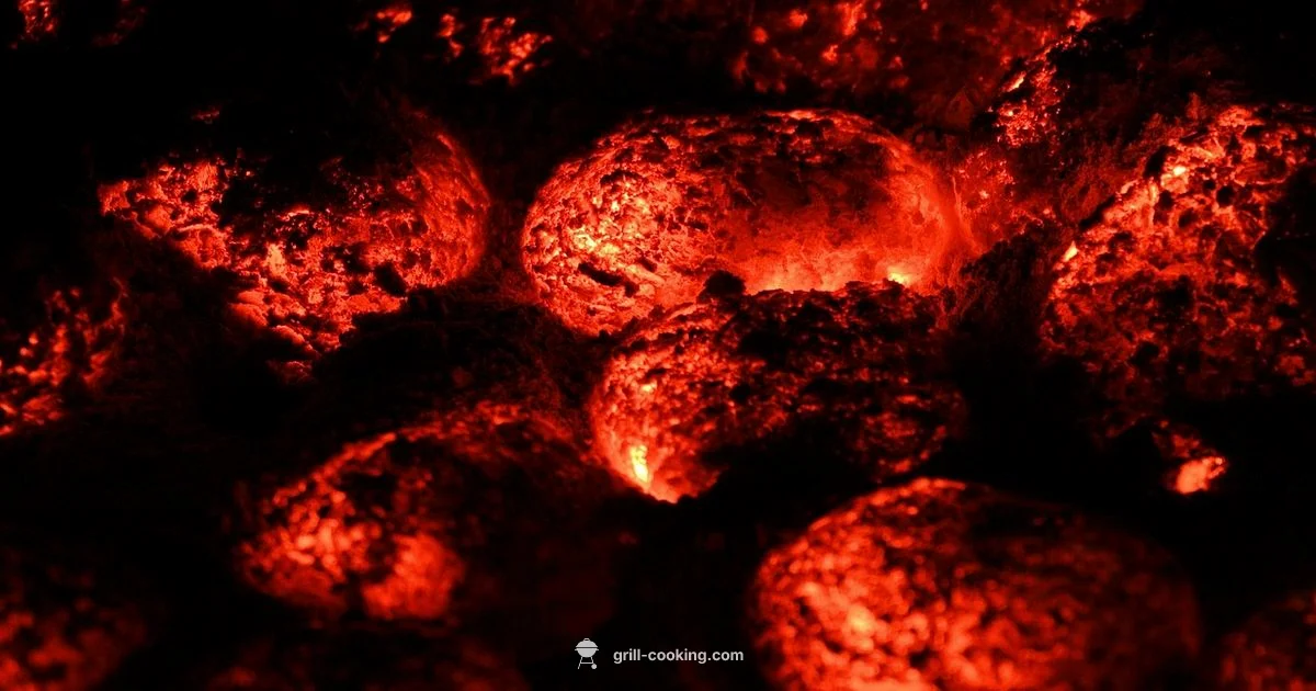 Charcoal Grill Guide - Grill Cooking