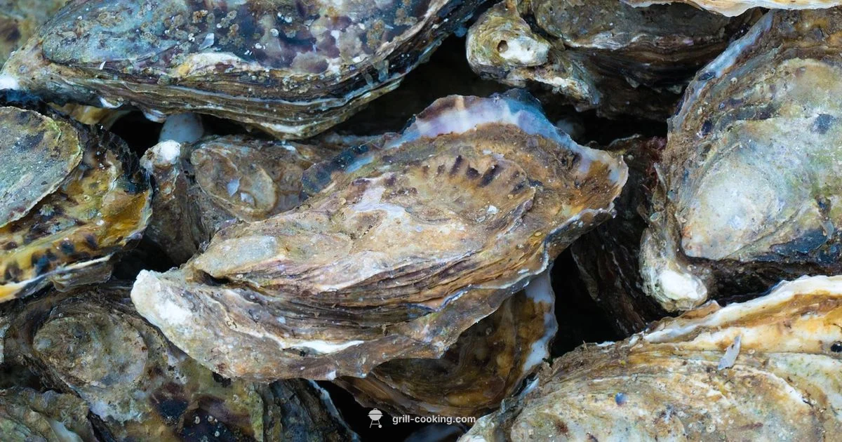 Oyster Grilling Essentials - Grill Cooking