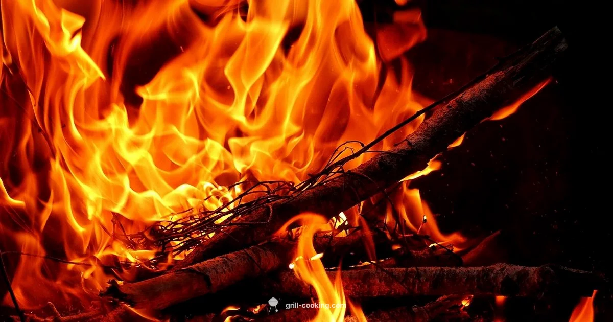 Fuego Grill Mastery - Grill Cooking