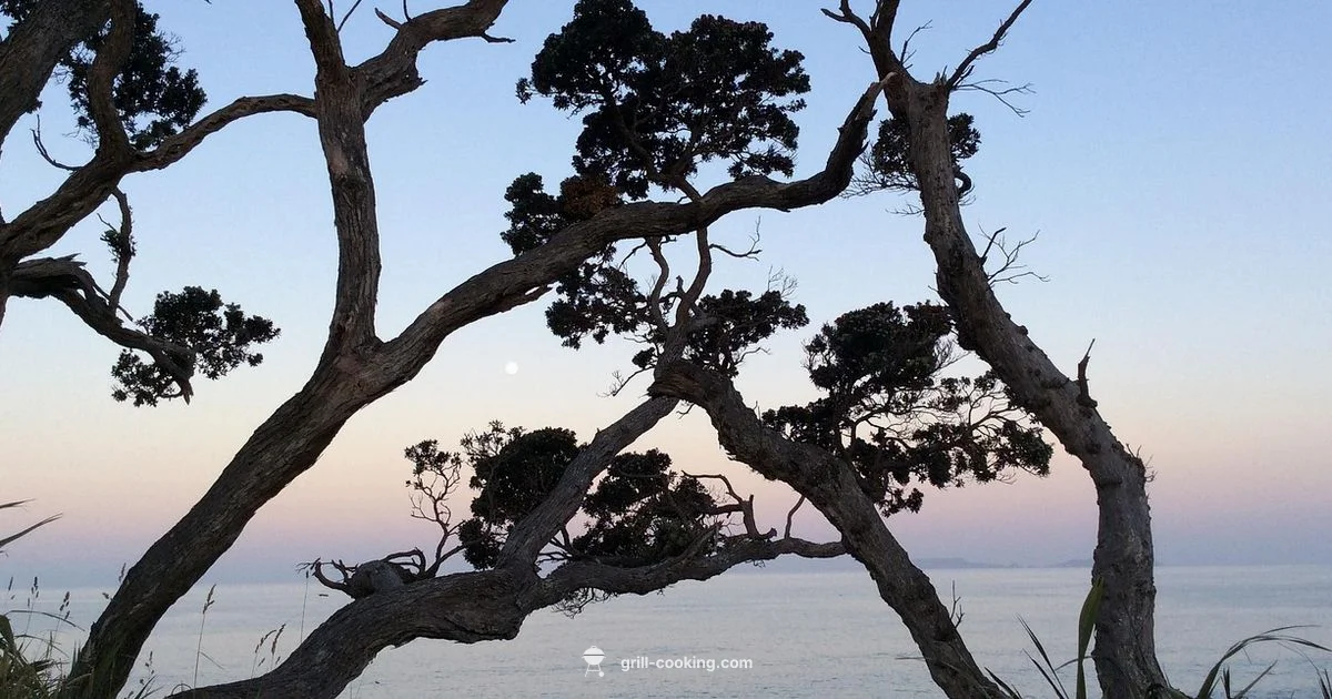 Lake House Bar & Grill - Grill Cooking