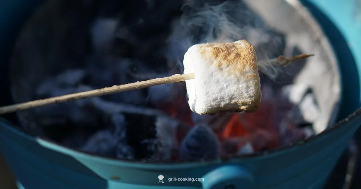 Grill Troubleshooting Grill Troubleshooting - Grill Cooking