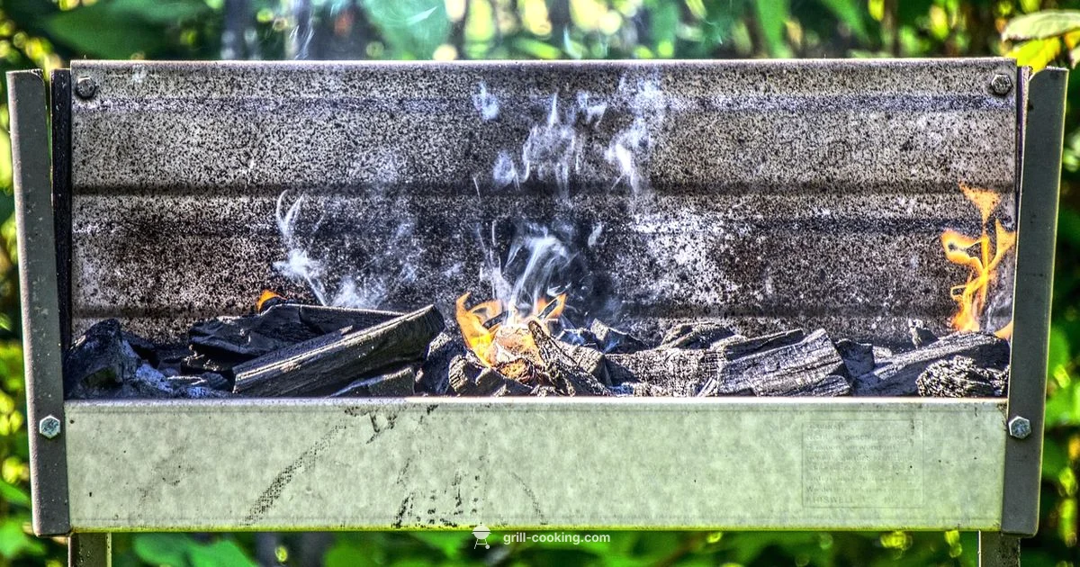 No Lighter Fluid - Grill Cooking