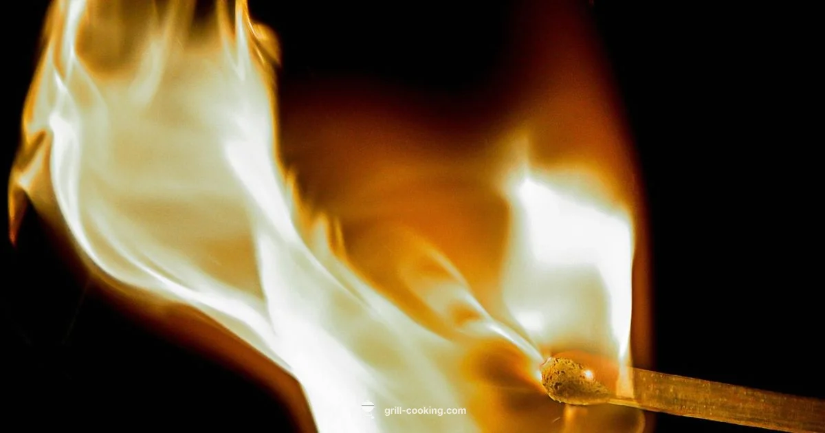 Ignition Troubles Guide - Grill Cooking