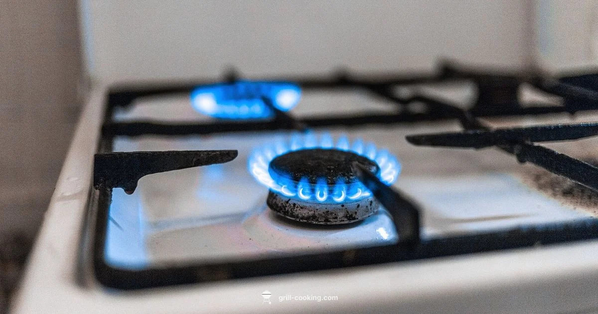 Propane-Powered Griddle - Grill Cooking