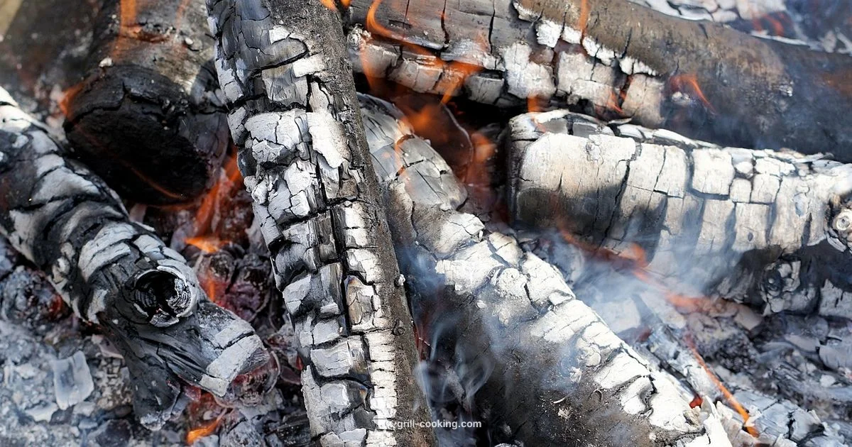 Prevent Grill Fires - Grill Cooking