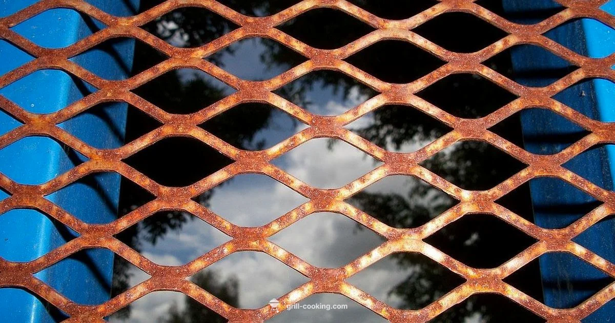Rusty Grill Guide Rusty Grill Guide - Grill Cooking