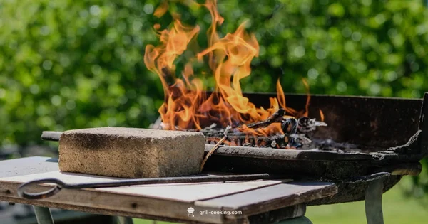 Grill vs Blackstone - Grill Cooking