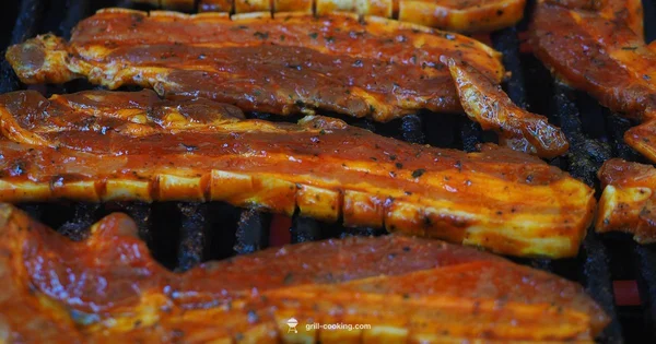 Seasoning Basics for Grates - Grill Cooking