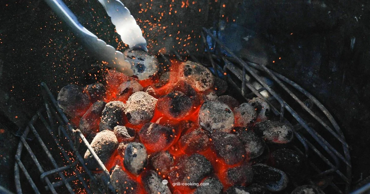 Refillable Grill Lighters - Grill Cooking